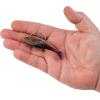 imageBerkley PowerBait Agent E Fishing Soft BaitPeanut Butter and Jelly