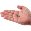 imageBerkley PowerBait Atomic Tubes Fishing Soft BaitPerch