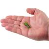 imageBerkley PowerBait Atomic Tubes Fishing Soft BaitPerch