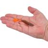 imageBerkley PowerBait Bonefish Fishing Soft BaitBlown Motor