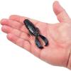 imageBerkley PowerBait Crash Craw Fishing Soft BaitBlack Blue Fleck