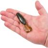 imageBerkley PowerBait Crash Craw Fishing Soft BaitWatermelon