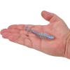 imageBerkley PowerBait Curly Bones Fishing Soft BaitOyster Shell