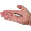 imageBerkley PowerBait Drip Minnow Fishing Soft BaitBlack Shad