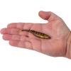 imageBerkley PowerBait Drip Minnow Fishing Soft BaitGhost Perch