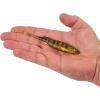 imageBerkley PowerBait Drip Minnow Fishing Soft BaitGhost Perch