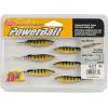 imageBerkley PowerBait Drip Minnow Fishing Soft BaitGhost Perch