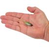 imageBerkley PowerBait Drip Minnow Fishing Soft BaitGreen Liner