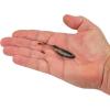 imageBerkley PowerBait Drip Minnow Fishing Soft BaitGreen Pumpkin Shad