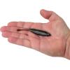 imageBerkley PowerBait Drip Minnow Fishing Soft BaitGreen Pumpkin Shad