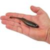 imageBerkley PowerBait Drip Minnow Fishing Soft BaitGreen Pumpkin Shad