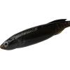 imageBerkley PowerBait Drip Minnow Fishing Soft BaitGreen Pumpkin Shad