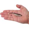 imageBerkley PowerBait Drip Minnow Fishing Soft BaitHD Blacknose Shiner
