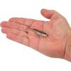 imageBerkley PowerBait Drip Minnow Fishing Soft BaitHD Blacknose Shiner