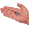 imageBerkley PowerBait Drip Minnow Fishing Soft BaitHD Emerald Shiner