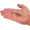 imageBerkley PowerBait Drip Minnow Fishing Soft BaitHD Goby
