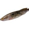 imageBerkley PowerBait Drip Minnow Fishing Soft BaitHD Goby