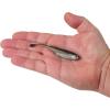imageBerkley PowerBait Drip Minnow Fishing Soft BaitHD Spottail Shiner