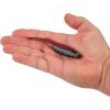imageBerkley PowerBait Drip Minnow Fishing Soft BaitMutilator Minnow