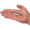 imageBerkley PowerBait Drip Swimmer Fishing Soft BaitBlack Shad