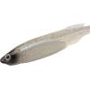 imageBerkley PowerBait Drip Swimmer Fishing Soft BaitBlue Liner