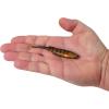 imageBerkley PowerBait Drip Swimmer Fishing Soft BaitGhost Perch