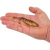 imageBerkley PowerBait Drip Swimmer Fishing Soft BaitGhost Perch