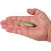 imageBerkley PowerBait Drip Swimmer Fishing Soft BaitGreen Liner