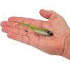 imageBerkley PowerBait Drip Swimmer Fishing Soft BaitGreen Liner