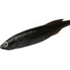 imageBerkley PowerBait Drip Swimmer Fishing Soft BaitGreen Pumpkin Shad
