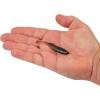 imageBerkley PowerBait Drip Swimmer Fishing Soft BaitGreen Pumpkin Shad