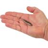 imageBerkley PowerBait Drip Swimmer Fishing Soft BaitHD Goby