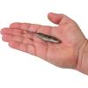 imageBerkley PowerBait Drip Swimmer Fishing Soft BaitHD Goby