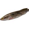 imageBerkley PowerBait Drip Swimmer Fishing Soft BaitHD Goby