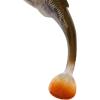 imageBerkley PowerBait Drip Swimmer Fishing Soft BaitHD Goby