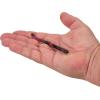 imageBerkley PowerBait Floating Steelhead Worm Fishing Soft BatBlack Cherry