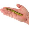imageBerkley PowerBait MaxScentCoppertreuse