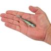 imageBerkley PowerBait Minnotator Fishing Soft BaitHD Emerald Shiner