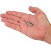 imageBerkley PowerBait Minnotator Fishing Soft BaitHD Emerald Shiner
