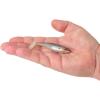 imageBerkley PowerBait Paddlin PowerStinger Fishing Soft BaitHD Stealth Minnow