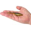 imageBerkley PowerBait Paddlin PowerStinger Fishing Soft BaitSun Gill