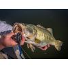 imageBerkley PowerBait Power Worms Fishing Soft BaitBlack Blue Fleck