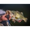 imageBerkley PowerBait Power Worms Fishing Soft BaitPumpkinseed