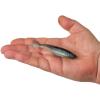 imageBerkley PowerBait PowerStinger Fishing Soft BaitElectric Shad