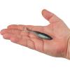imageBerkley PowerBait PowerStinger Fishing Soft BaitElectric Shad