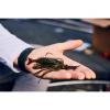 imageBerkley PowerBait PowerStinger Fishing Soft BaitGhost Red Craw