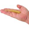 imageBerkley PowerBait Saltwater Bonga Shrimp Fishing Soft Bait Irresistible Scent and Flavor Realistic Shrimp Profile and Action Perfect for Redfish Trout Snook and MoreGold