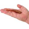 imageBerkley PowerBait Saltwater Bonga Shrimp Fishing Soft Bait Irresistible Scent and Flavor Realistic Shrimp Profile and Action Perfect for Redfish Trout Snook and MoreRoot Beer Gold