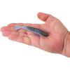 imageBerkley PowerBait Saltwater Bonga Shrimp Fishing Soft Bait Irresistible Scent and Flavor Realistic Shrimp Profile and Action Perfect for Redfish Trout Snook and MoreMolting