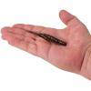 imageBerkley PowerBait Saltwater Bonga Stick Fishing Soft Bait Irresistible Scent and Flavor Ideal for Bass Redfish Trout and MoreDark Night